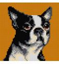 Goblen Boston Terrier | 15x15cm