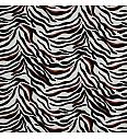 Jersey Zebra | krem | 95%CO / 5%EL