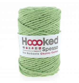 Spesso Chunky Cotton | 500g (127m)